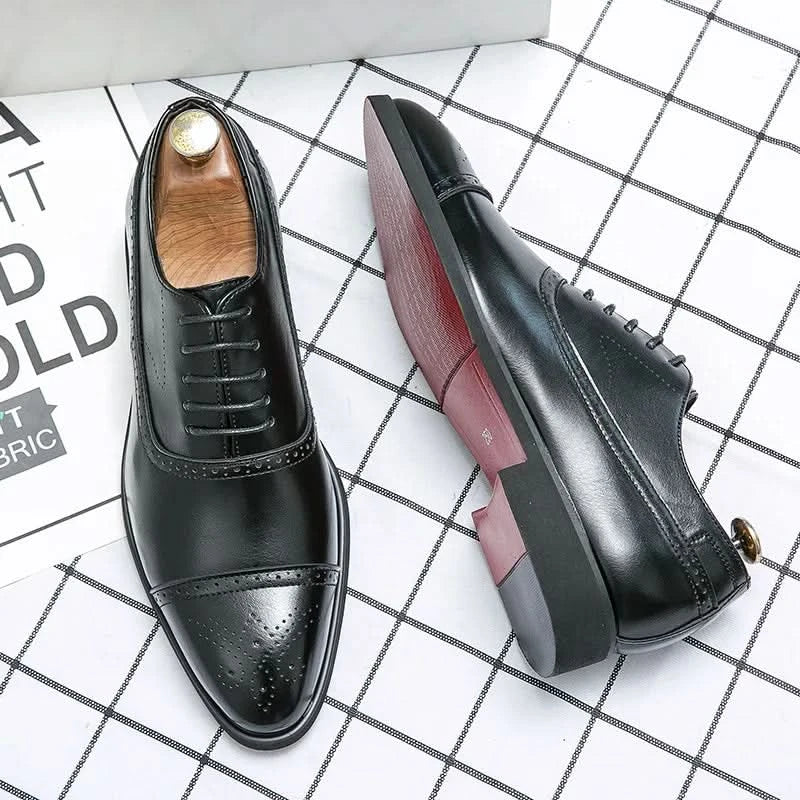 Zapato brogue Oxford Royal