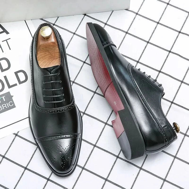 Zapato brogue Oxford Royal